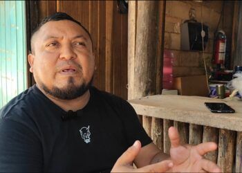 Plantean inviabilidad de granjas avícolas locales por dominio de empresas yucatecas