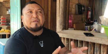 Plantean inviabilidad de granjas avícolas locales por dominio de empresas yucatecas