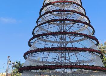 Peto: el árbol de “los negocios”