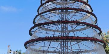 Peto: el árbol de “los negocios”