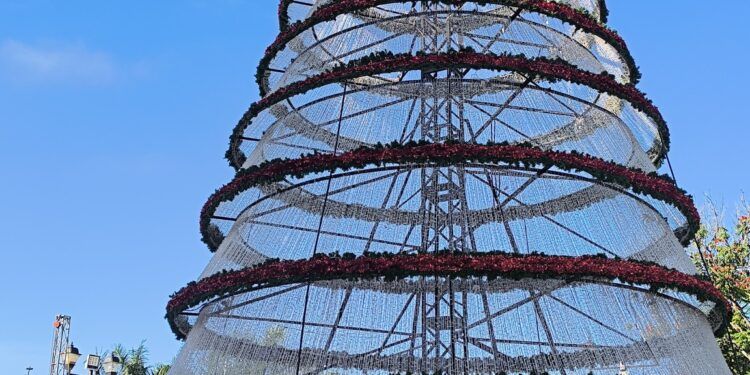 Peto: el árbol de “los negocios”