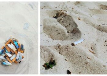 Recolectan hasta 500 colillas al día en playas de Tulum; autoridades llaman a frenar contaminación en temporada de tortugas