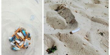 Recolectan hasta 500 colillas al día en playas de Tulum; autoridades llaman a frenar contaminación en temporada de tortugas