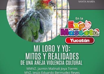 Proyecto Santa María invita a pláticas sobre loros: mitos y realidades de una añeja violencia cultural