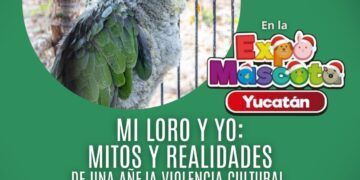 Proyecto Santa María invita a pláticas sobre loros: mitos y realidades de una añeja violencia cultural