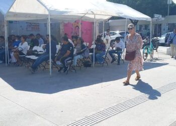 Ingresos municipales mantienen ritmo en arranque de 2026 por pago de contribuciones en Tulum