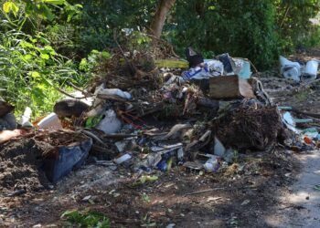 Recolectan más de 30 toneladas de basura en limpieza profunda de basurero clandestino en Chetumal