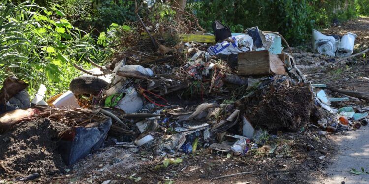 Recolectan más de 30 toneladas de basura en limpieza profunda de basurero clandestino en Chetumal