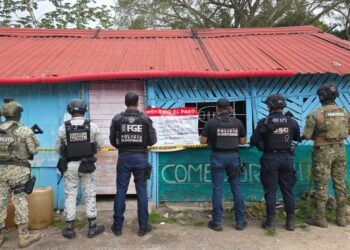Aseguran autoridades drogas y un arma de fuego en cinco cateos en Playa del Carmen y Othón P. Blanco