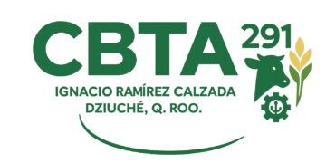Dirección del CBTA Dziuché confirma trámite administrativo por cambio de adscripción docente
