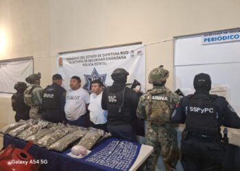 Aseguran más de 10 kilos de presunta marihuana y diversas drogas en operativo en Tulum