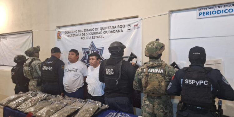 Aseguran más de 10 kilos de presunta marihuana y diversas drogas en operativo en Tulum