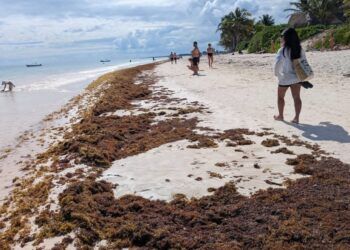 Sargazo se adelanta y golpea a Tulum en plena temporada alta