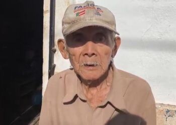 Legumbres tradicionales se pierden en la milpa maya por uso de agroquímicos