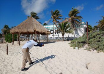 Fundación Eco-Bahía consolida en 2025 uno de los programas de conservación más sólidos de México