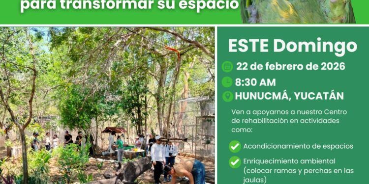 Invitan a participar en Día de Voluntariado en favor de los loros yucatecos