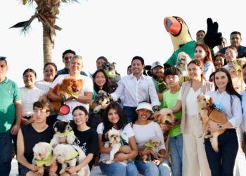 Caso Vito reabre debate nacional; Partido Verde impulsa reforma para fortalecer responsabilidad en la tenencia de mascotas