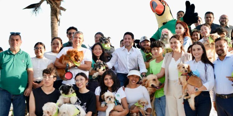 Caso Vito reabre debate nacional; Partido Verde impulsa reforma para fortalecer responsabilidad en la tenencia de mascotas