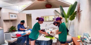 Impulsan jornada de esterilización en Macario Gómez; registran 150 mascotas