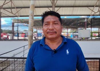 Repuntan precios del limón y dan respiro a productores de Candelaria