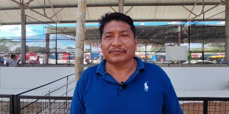 Repuntan precios del limón y dan respiro a productores de Candelaria