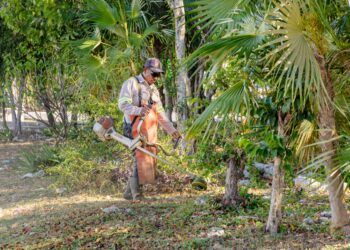 Refuerzan limpieza en colonia Palmas de Tulum tras peticiones ciudadanas