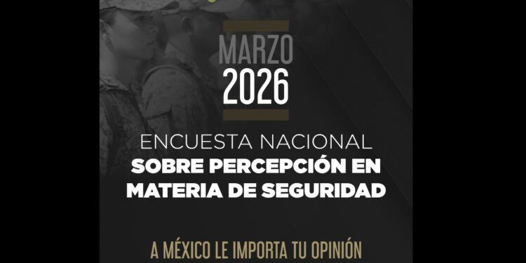 Encuesta nacional revela percepción dividida sobre seguridad en México; Quintana Roo se mantiene a media tabla