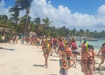 Mejoran condiciones de conservación de tortugas marinas en Akumal; turismo alcanza 80% de ocupación