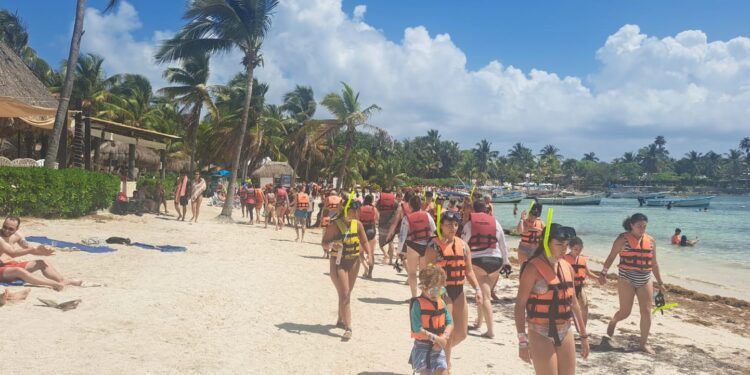 Mejoran condiciones de conservación de tortugas marinas en Akumal; turismo alcanza 80% de ocupación