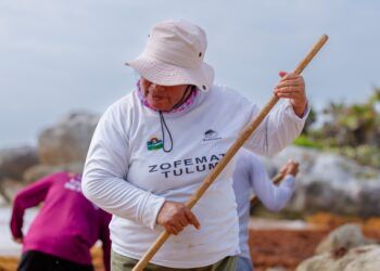 Tulum refuerza batalla contra el sargazo: 750 toneladas recolectadas en un mes