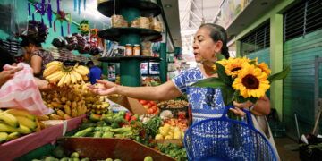 Airbnb dona casi $3 millones de pesos a organizaciones mexicanas con impacto social y ambiental