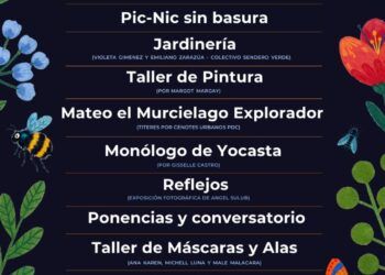 Invitan a celebrar aniversario de Sendero Verde en Tulum con jornada cultural y ambiental