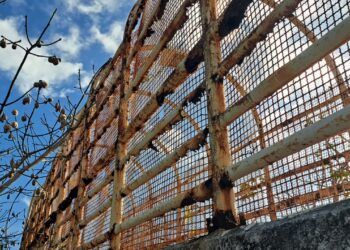 Riesgo latente en Chemuyil: puente deteriorado pone en peligro a peatones cada día