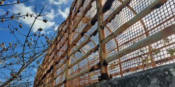 Riesgo latente en Chemuyil: puente deteriorado pone en peligro a peatones cada día