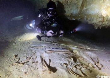 Trasladan restos humanos hallados en cenote de Quintana Roo a CDMX para estudio científico