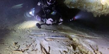 Trasladan restos humanos hallados en cenote de Quintana Roo a CDMX para estudio científico