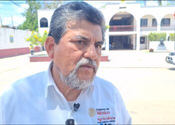 Buscan impulsar industrialización del limón en José María Morelos para fortalecer al campo