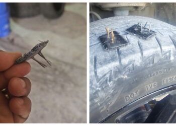 Alertan por intentos de asalto en la carretera Tulum–Cobá; crece temor entre automovilistas