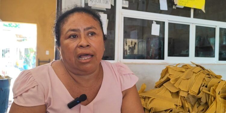 Mototaxistas en José María Morelos piden regulación municipal ante altos costos estatales