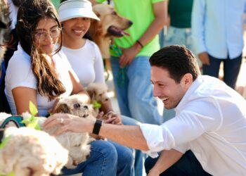 Quintana Roo da paso histórico por el bienestar animal: habrá más clínicas veterinarias accesibles