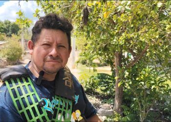 Proyecto de carbón vegetal en Kancabchén permanece detenido por falta de permisos ambientales