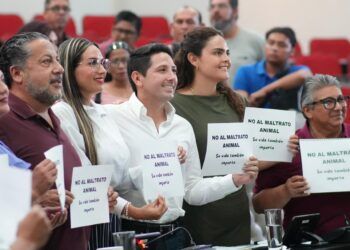 Endurecen penas por maltrato animal en Quintana Roo; cárcel hasta 10 años en casos graves