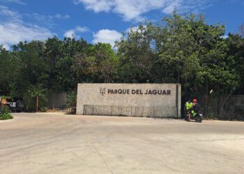 Turistas denuncian cobros y restricciones en accesos al Parque del Jaguar en Tulum