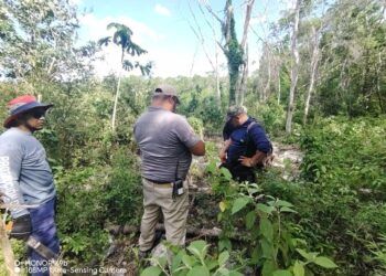 Localizan a dos hombres extraviados en la selva de Tulum; estaban deshidratados pero fuera de peligro
