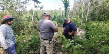Localizan a dos hombres extraviados en la selva de Tulum; estaban deshidratados pero fuera de peligro