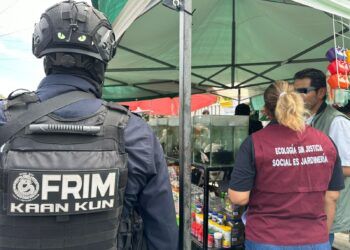 Rescatan cocodrilo y especies exóticas en tianguis de Cancún; operaban de forma ilegal