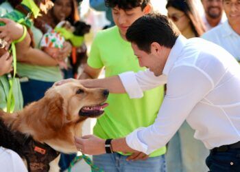 Endurecen castigos por maltrato post mortem a animales en Quintana Roo tras caso Xibalbá