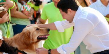 Endurecen castigos por maltrato post mortem a animales en Quintana Roo tras caso Xibalbá