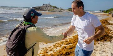 Tulum refuerza combate al sargazo; supera mil 300 toneladas recolectadas en 2026