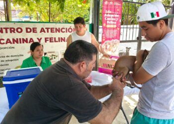 Vacunan a más de 300 mascotas en Chetumal durante arranque de campaña antirrábica